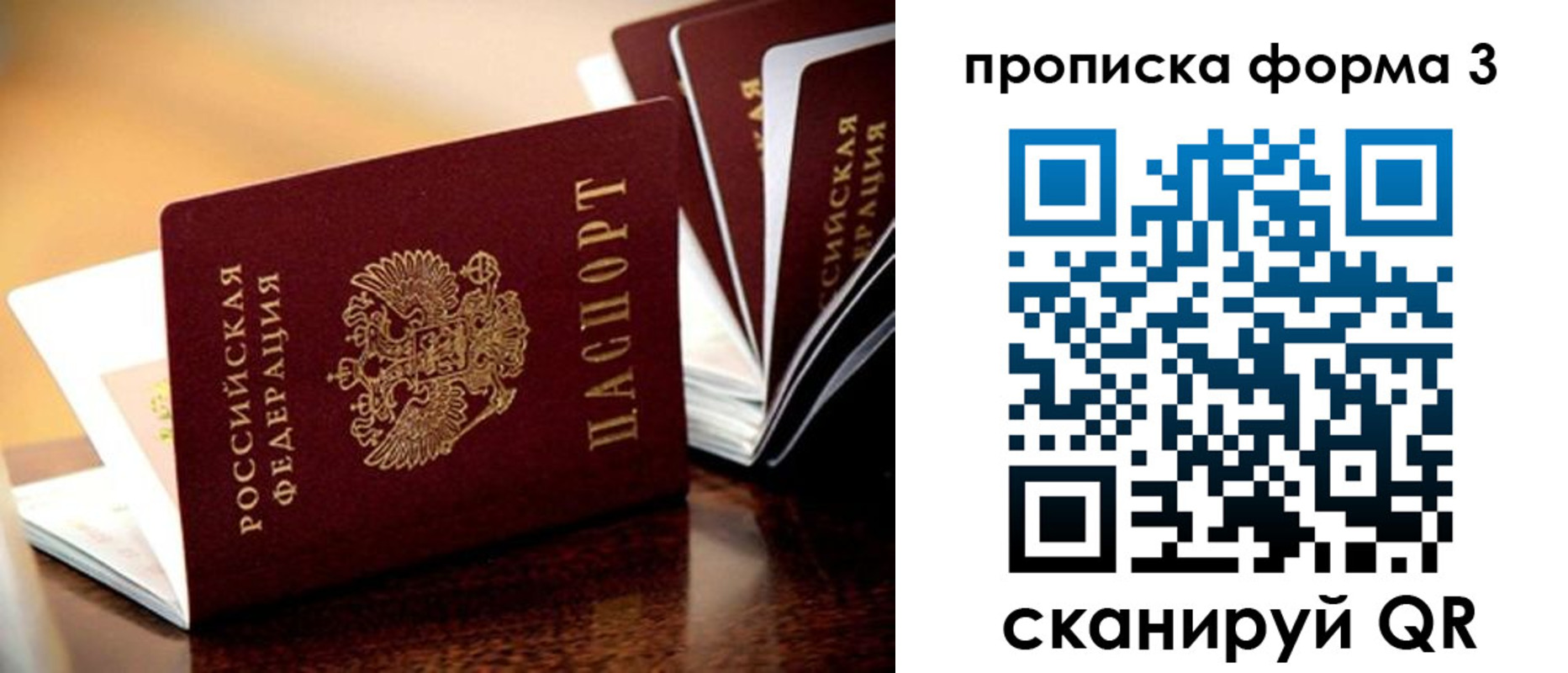 временная регистрация надежно в Опочке